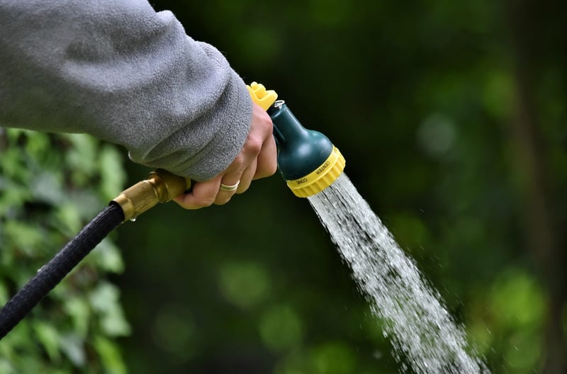Watering guidelines